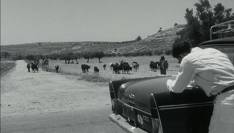 מתוך חיפושי אתרי צילום בפלשתינה, 1963 (קרדיט: Cineteca Nazionale)