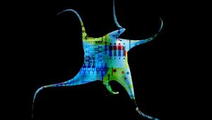 Xin Center International Winter School on Nano-Photonics 