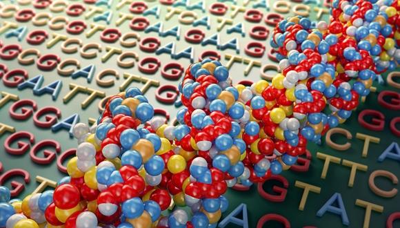 סמינר המחלקה לגנטיקה מולקולרית של האדם ולביוכימיה סמינר המחלקה לגנטיקה מולקולרית של האדם ולביוכימיה