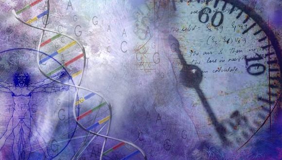 ההרצאות המיוחדות במתמטיקה על שם ריימונד ובברלי סאקלר ההרצאות המיוחדות במתמטיקה על שם ריימונד ובברלי סאקלר