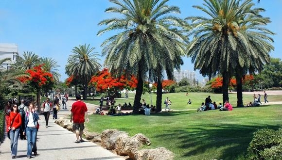 אירוע חגיגי לכבוד השקת הספר "ערות: נשים מדברות מיניות"
