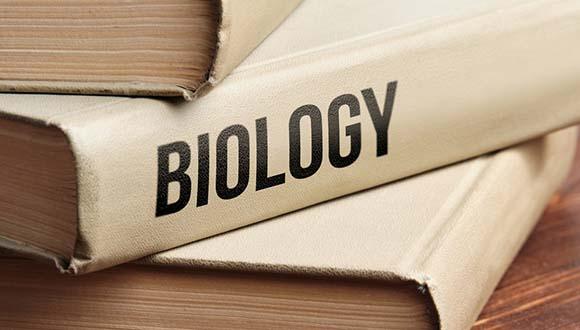 כותבים מחדש את ספרי הלימוד בביולוגיה