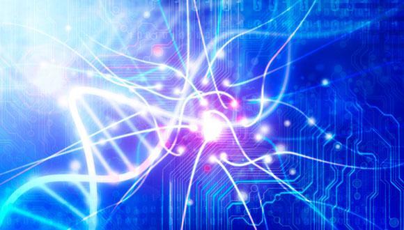 סדרת הרצאות בינתחומית: רפואה – מדעי הרוח סדרת הרצאות בינתחומית: רפואה – מדעי הרוח