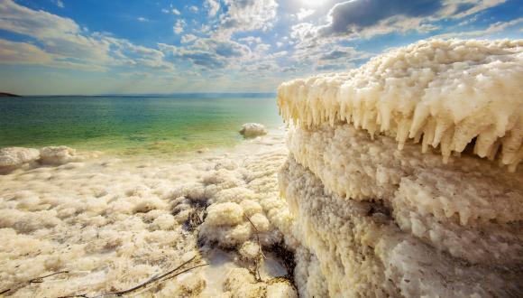 כנס: Life in Extreme Conditions 2018 כנס: Life in Extreme Conditions 2018