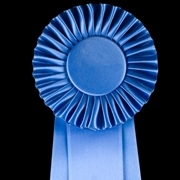 מדליית ראול ולנברג הוענקה לפרופ' דינה פורת