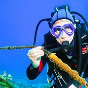 בשורות מעודדות: זיהום הפלסטיק במפרץ אילת נמוך בהשוואה לשוניות אלמוגים אחרות בעולם